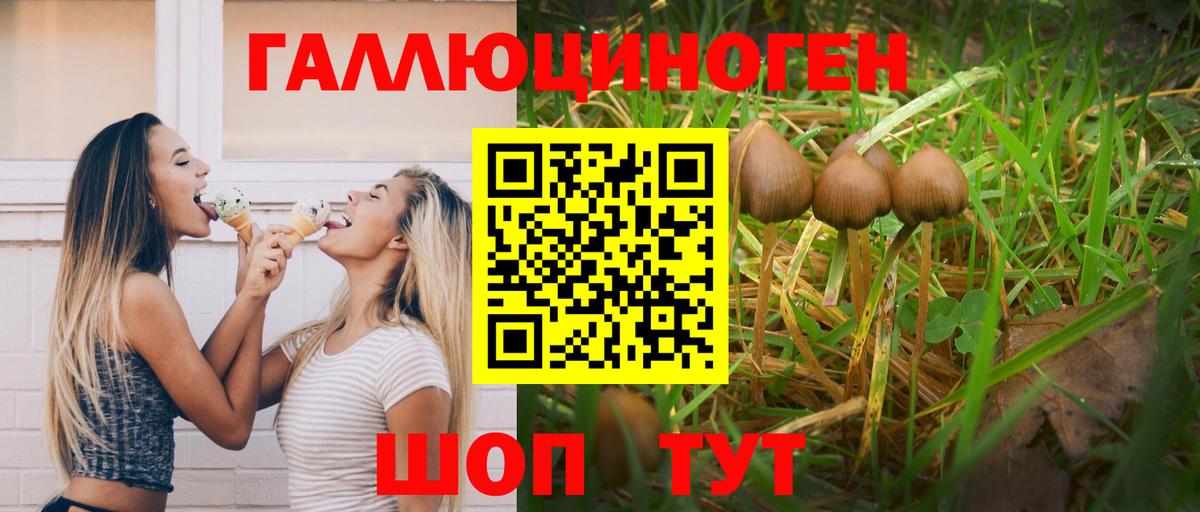 Псилоцибиновые грибы ЛСД  Псилоцибиновые грибы Psilocybe  Мурино  Вход с VPN 