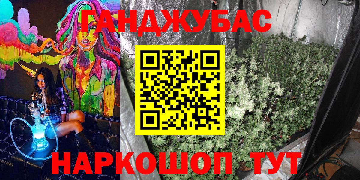 Бошки марихуана Amnesia  Вход с VPN  Мурино  Каннабис Ganja  Каннабис гибрид  Марихуана план 